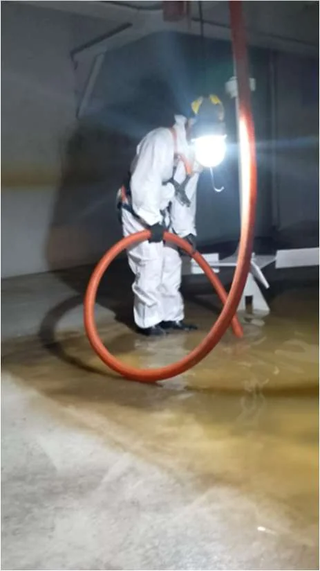 Atividade de limpeza interna